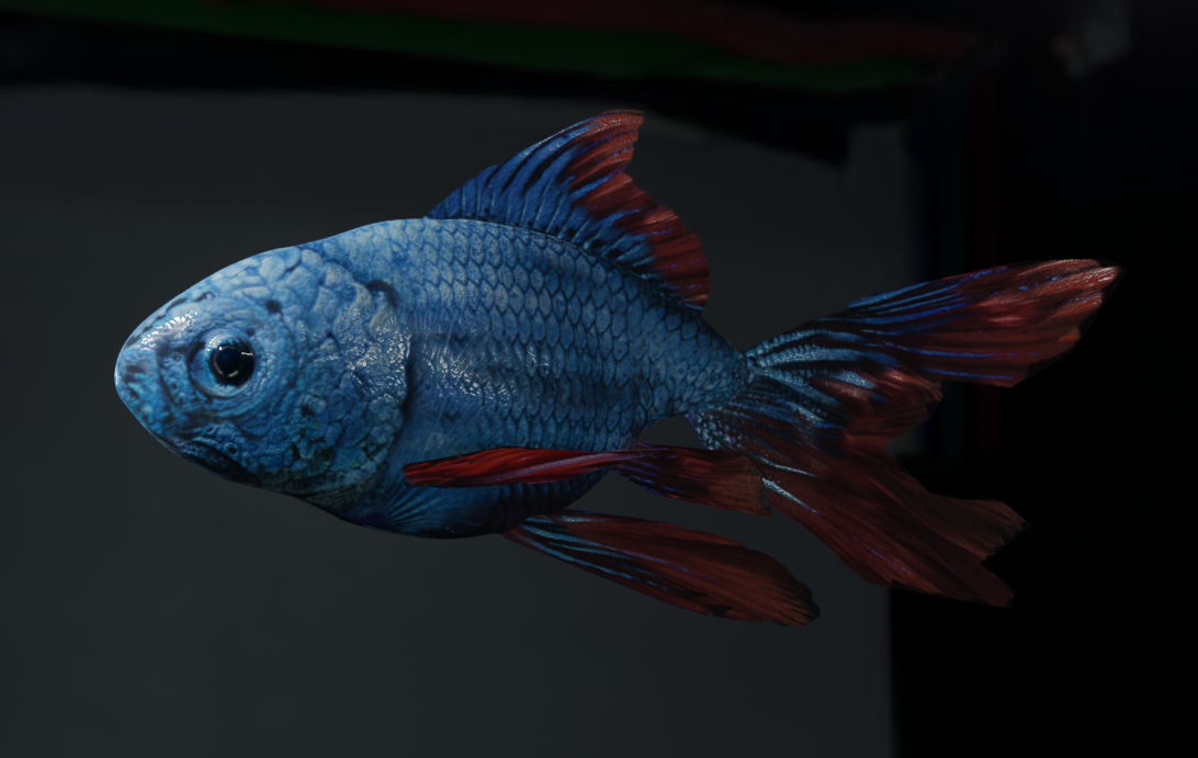 Tropical Fish preview image 1